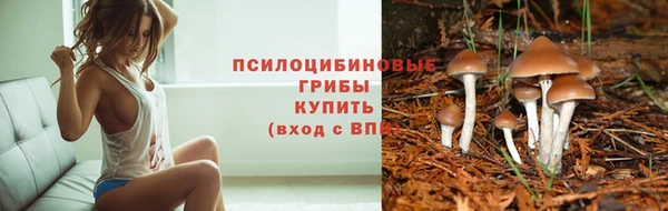 тгк Медвежьегорск