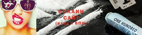 ECSTASY Богданович