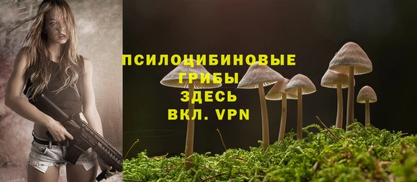 тгк Медвежьегорск