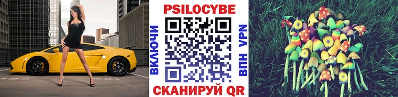 Псилоцибиновые грибы GOLDEN TEACHER Вологда