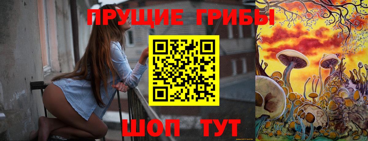 Псилоцибиновые грибы мицелий Вологда