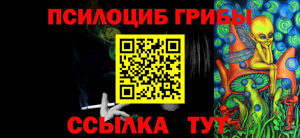 купить наркотик  Вологда  Псилоцибиновые грибы прущие грибы 