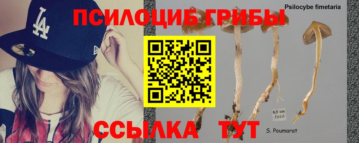 Вологда  Псилоцибиновые грибы мухоморы  Галлюциногенные грибы Magic Shrooms  где можно купить   Вход с VPN 